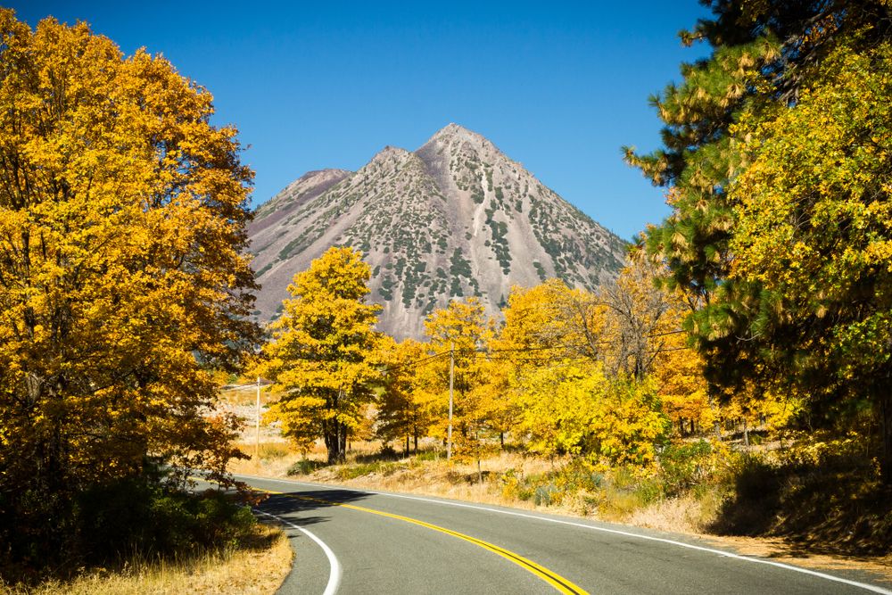 Autumn trees surrounding the highway near the black butte volcano.