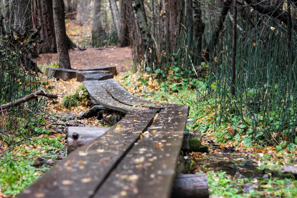 A wooden bridge on the pathway of the city park.