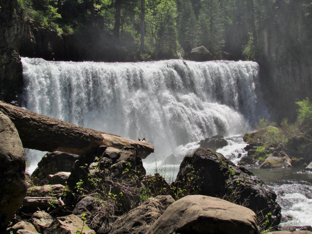 Heavy water flow falling down the mccloud falls.