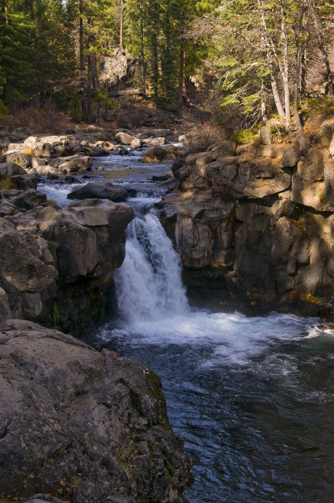 Portrait photo of the mccloud falls with green trees behind.