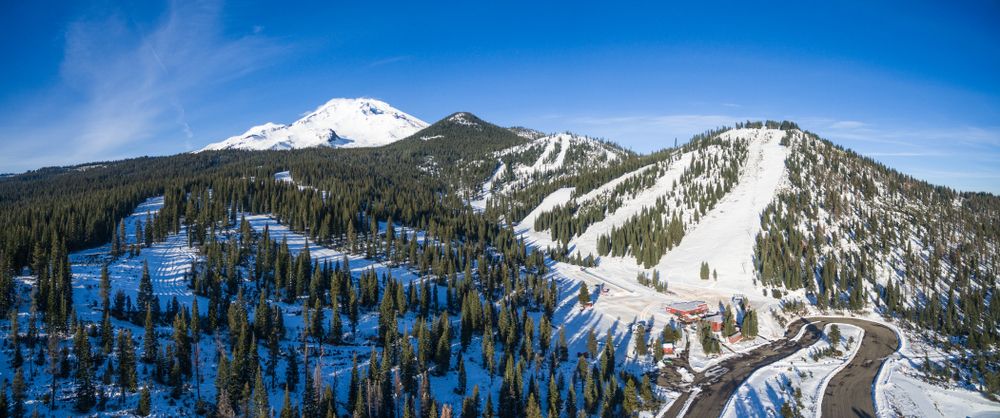 Aerial view of Mt. Shasta ski park with tall pine trees scattered around.
