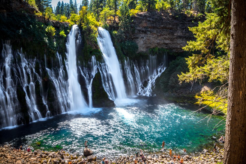 Majestic view of the Burney falls inside the national forest.