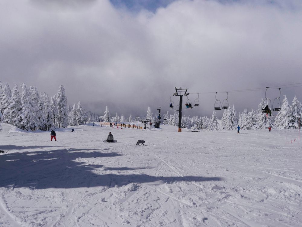 Chairlifts at Timberline Resort