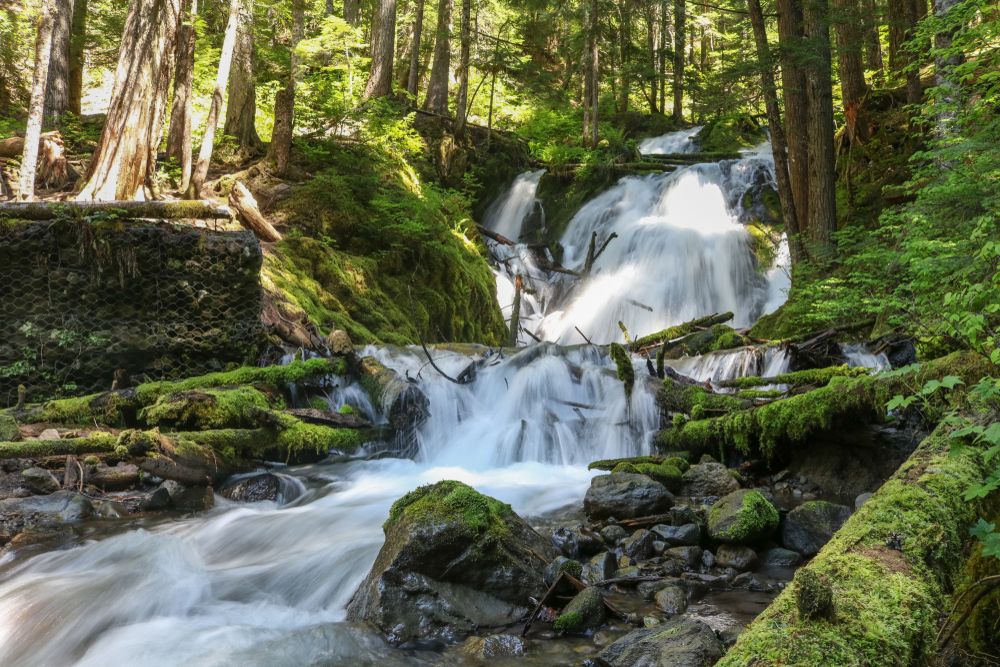 Rushing waters of Little Zigzag Falls