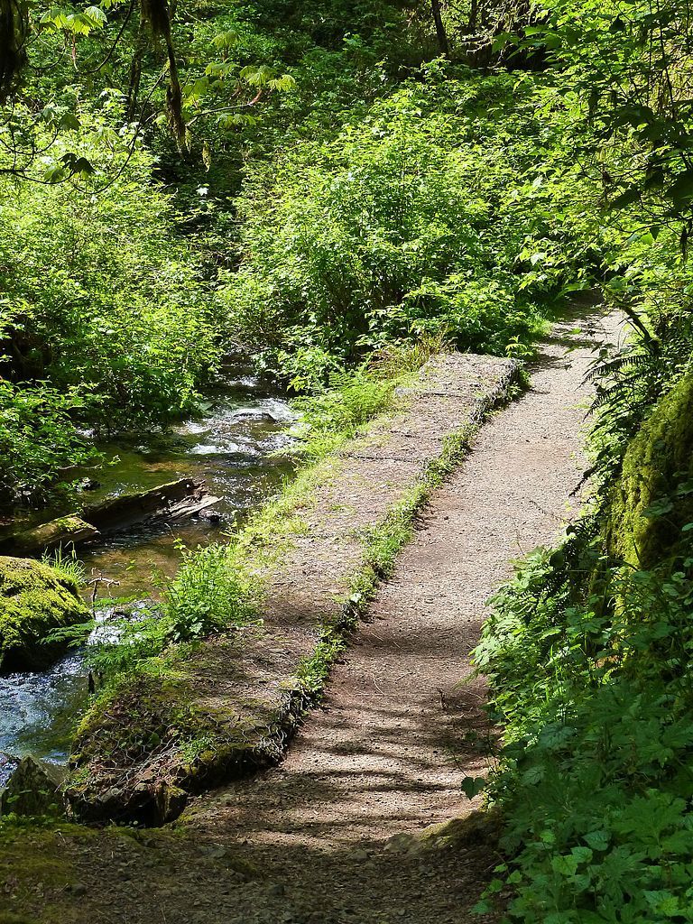 A creek flowing beside the trail at Munson Creek Falls