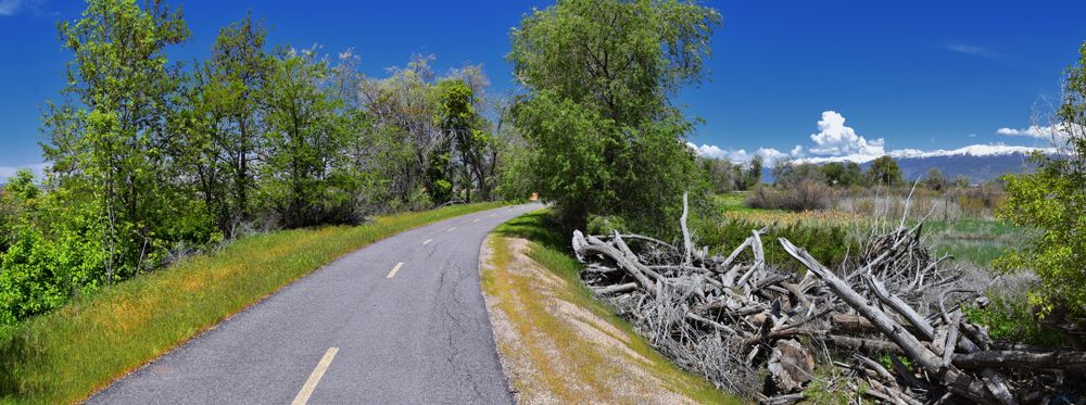 The road of Jordan River Parkway Trail
