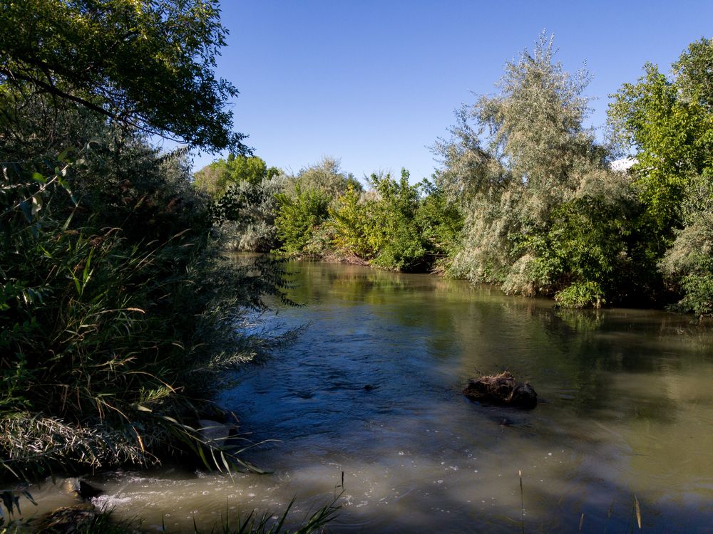 River surrounded with trees at Jordan River Parkway Trail