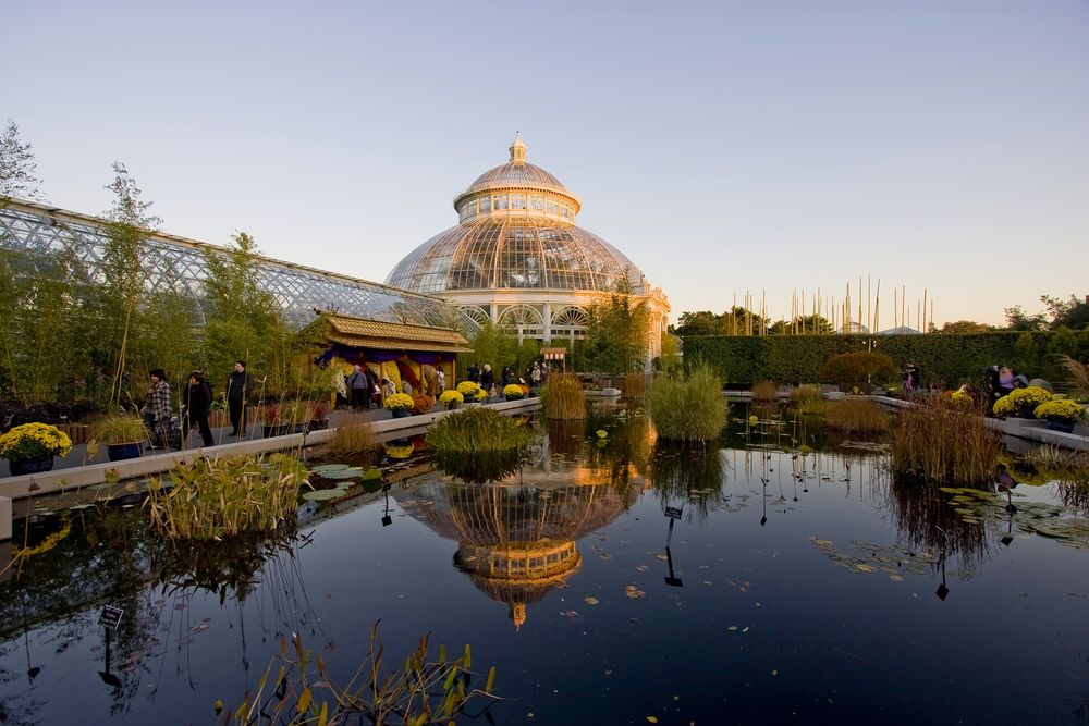 Pond at the New York Botanical Garden