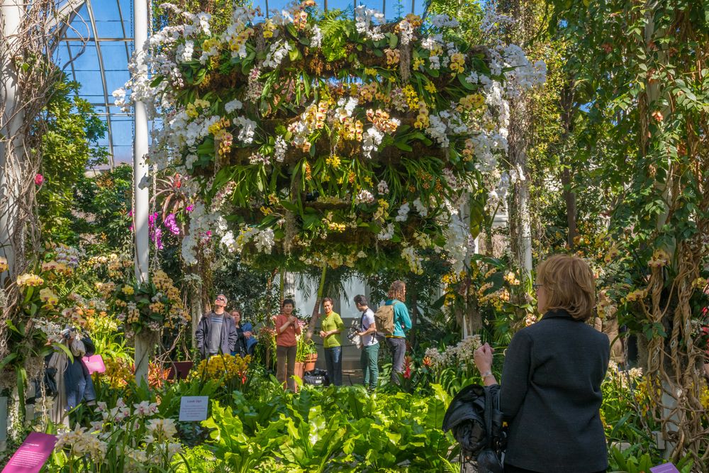 Interior of the New York Botanical Garden conservatory