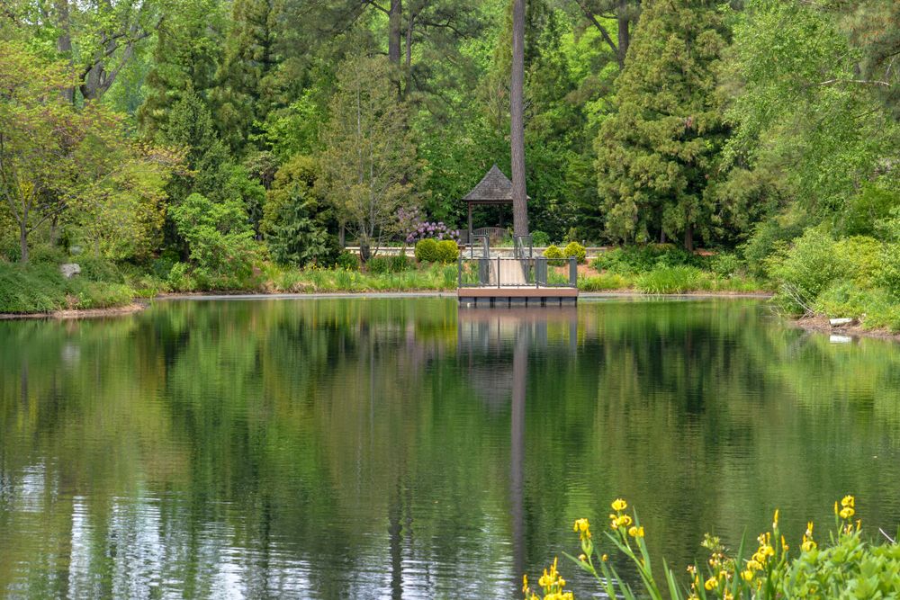 The calm waters of Lewis Ginter Botanical Garden