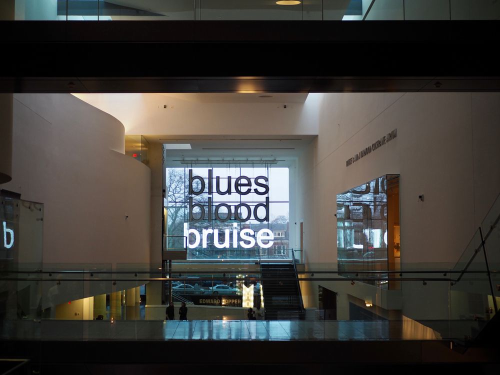 Interior of the Virginia Museum of Fine Arts