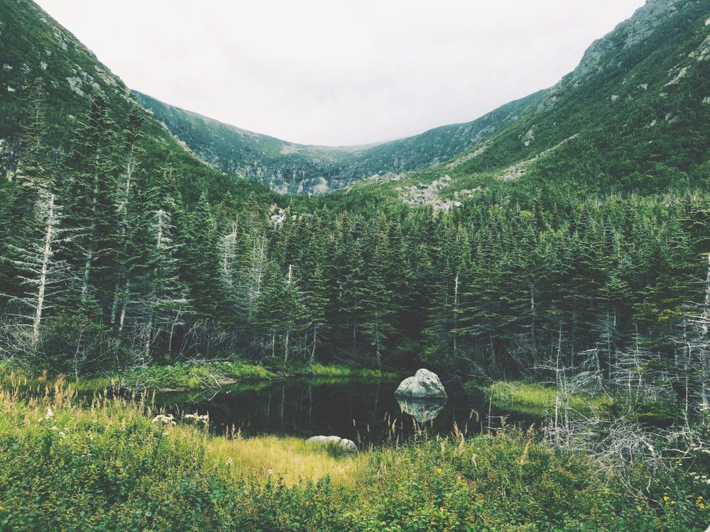 Scenic view of Tuckerman Ravine