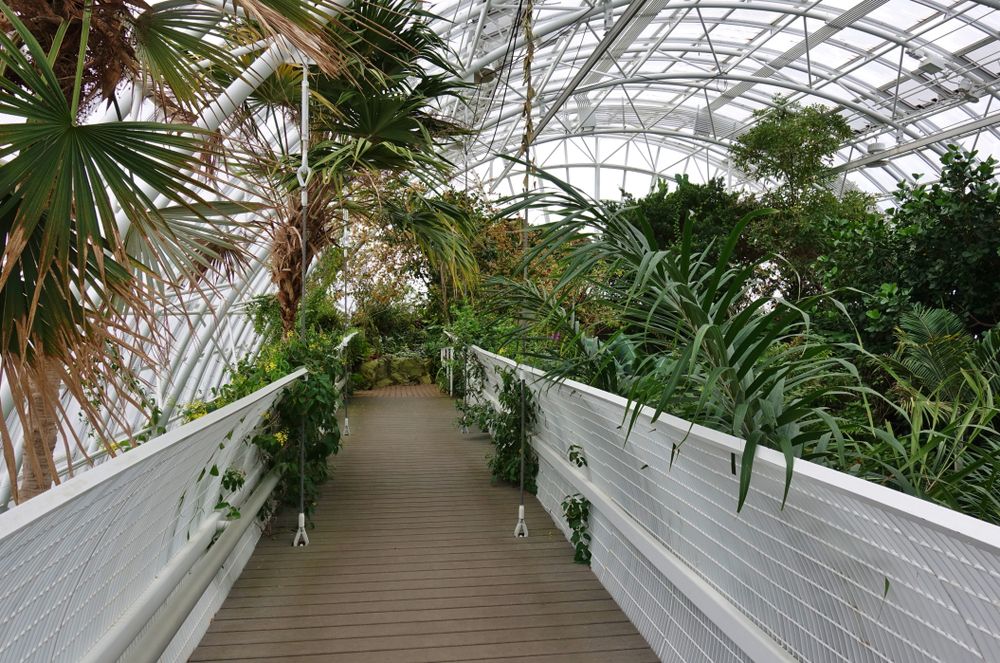 Inside the beatiful Botanical Gardens