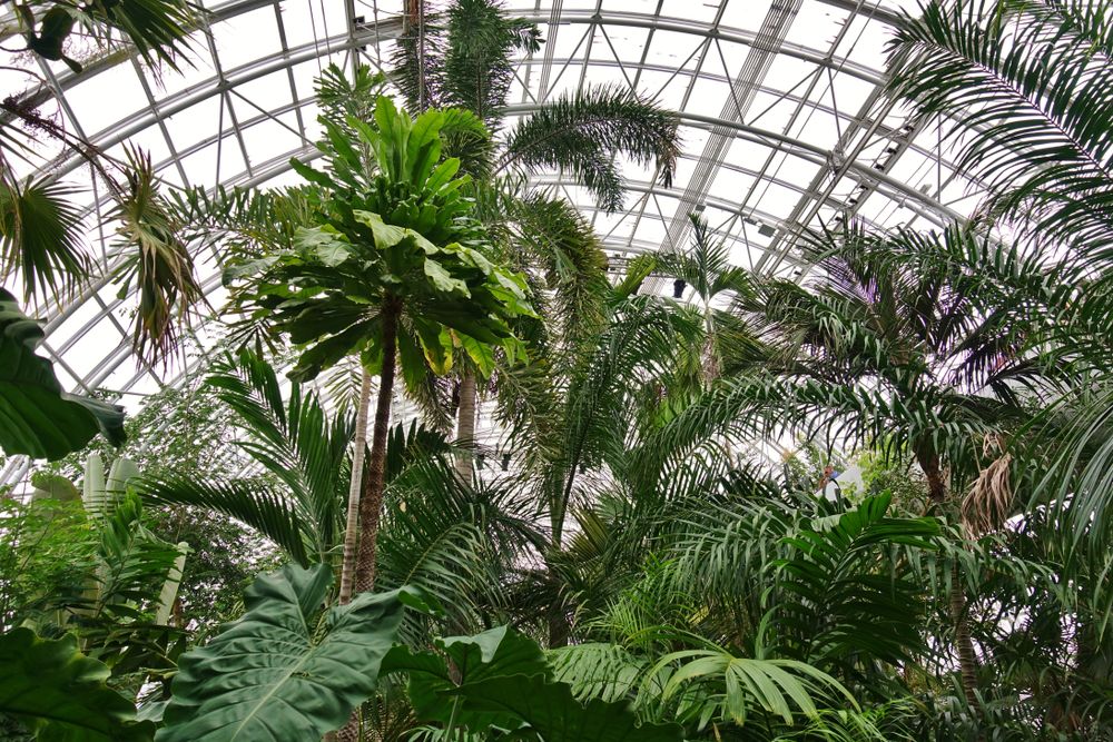 Inside Botanical Gardens