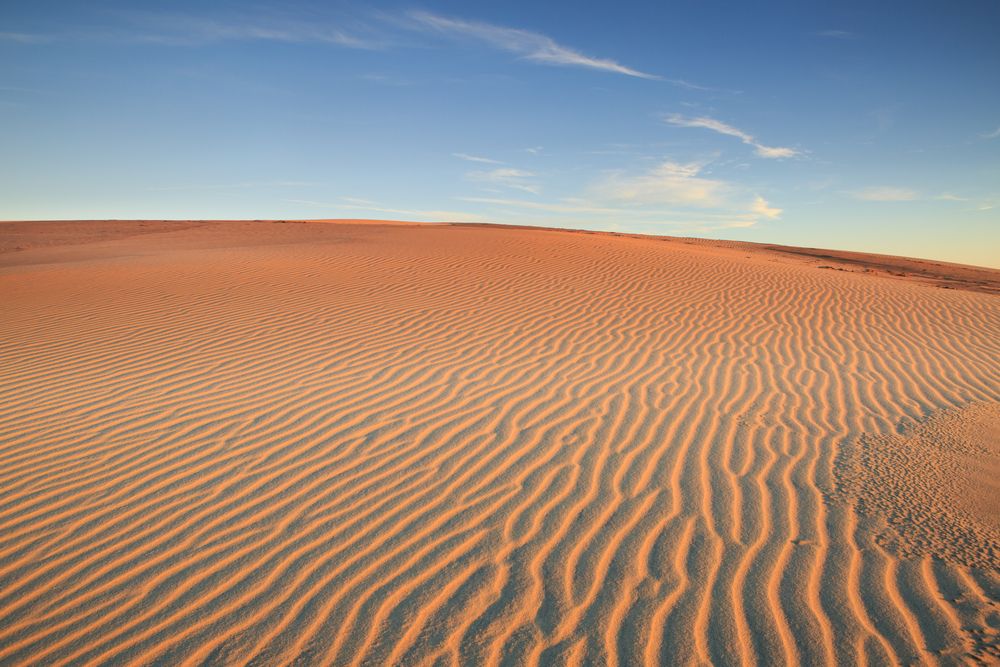 The sands of Jockey's Ridge