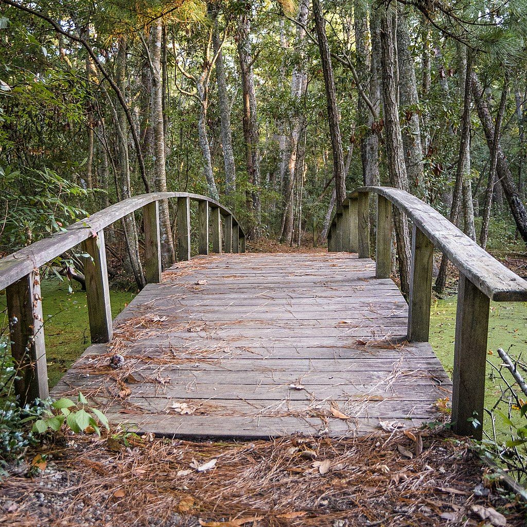 Wooden bridge at Nags Head Woods Preserve