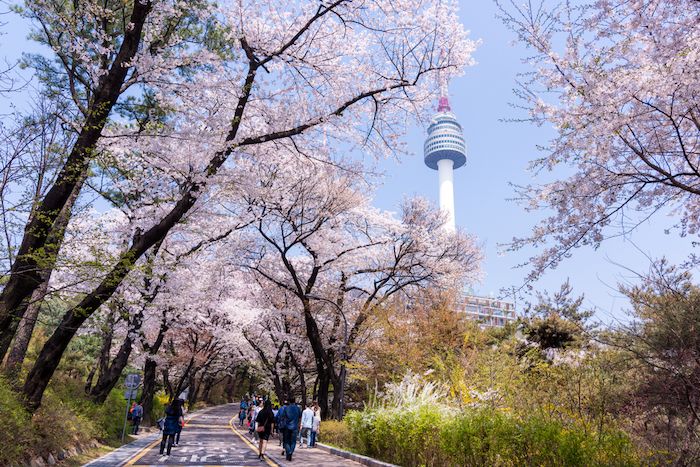 Namsan Botanical Garden