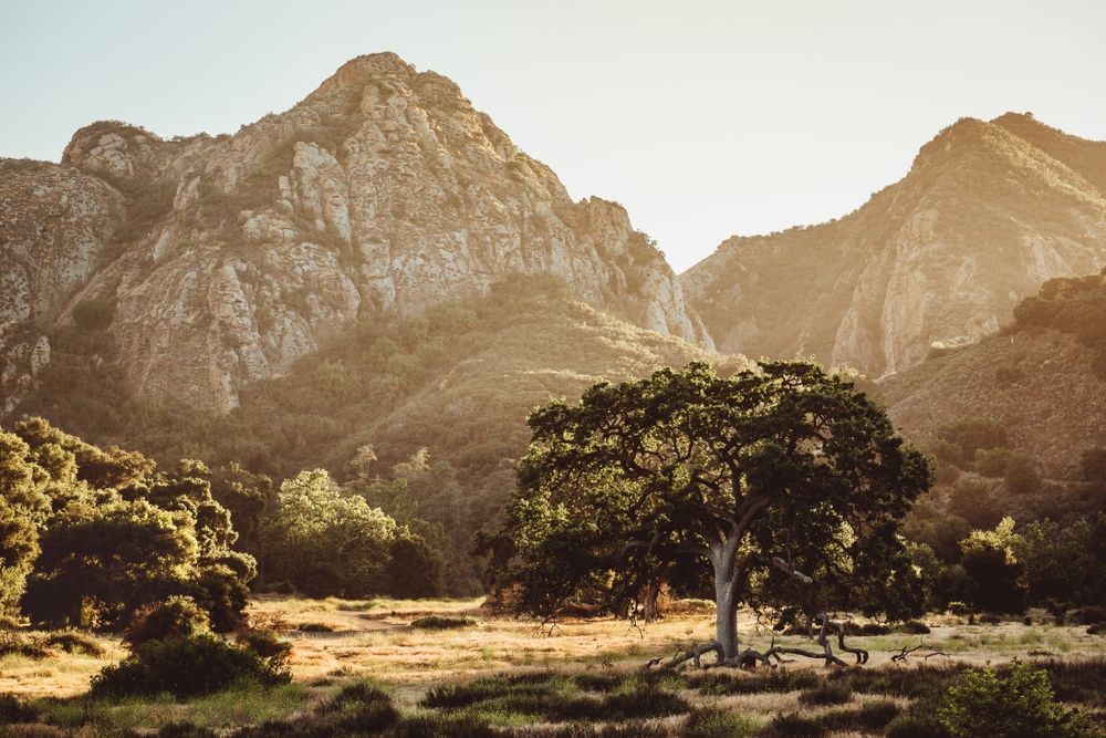 View of Malibu Creek State Park