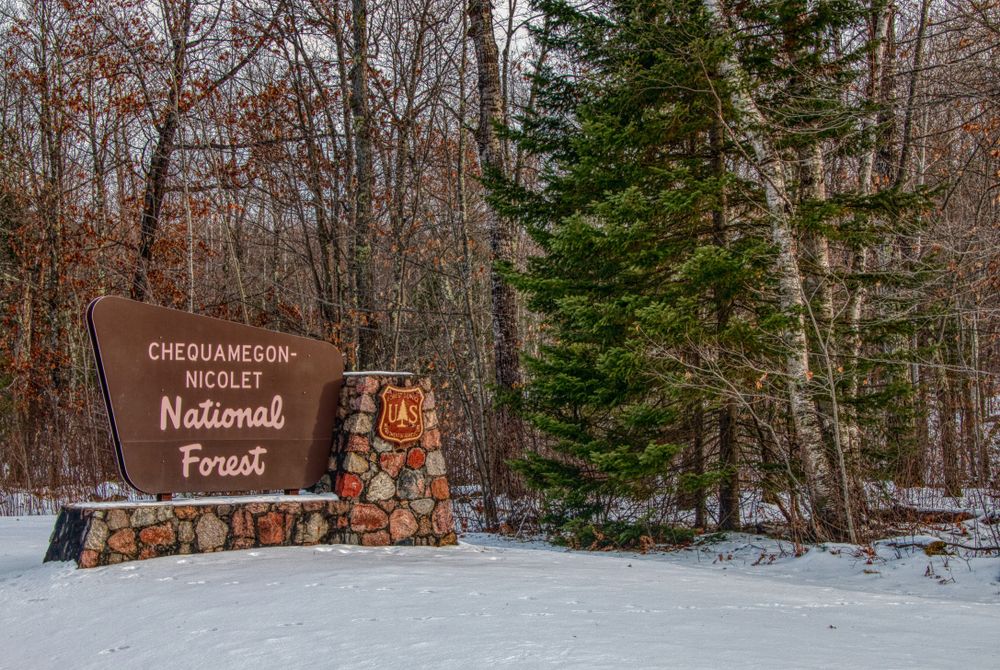 Chequamegon-Nicolet National Forest
