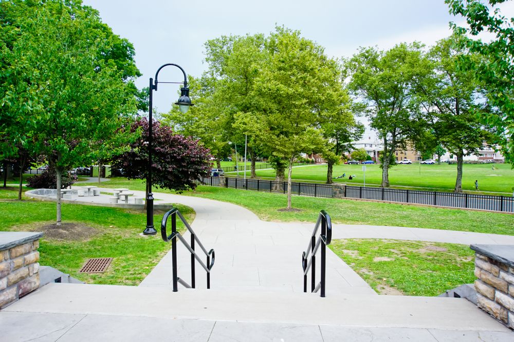 Steps along a trail at James J. Braddock Park