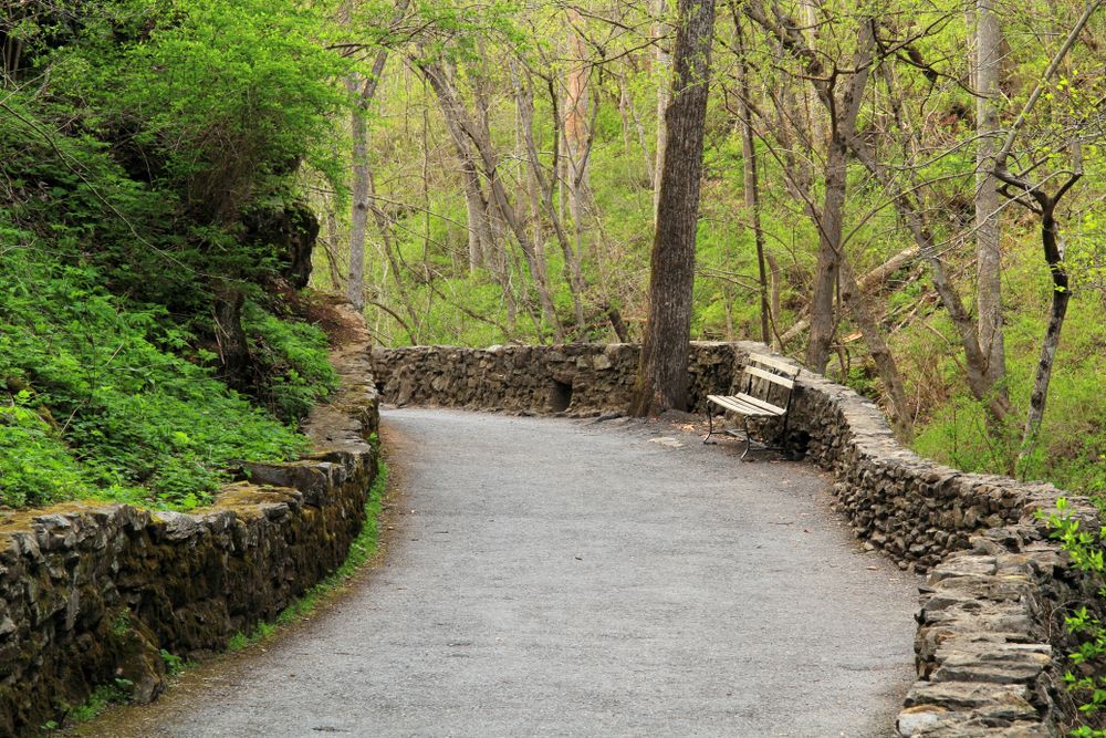Cedar creek trail at Natural Bridge State Park
