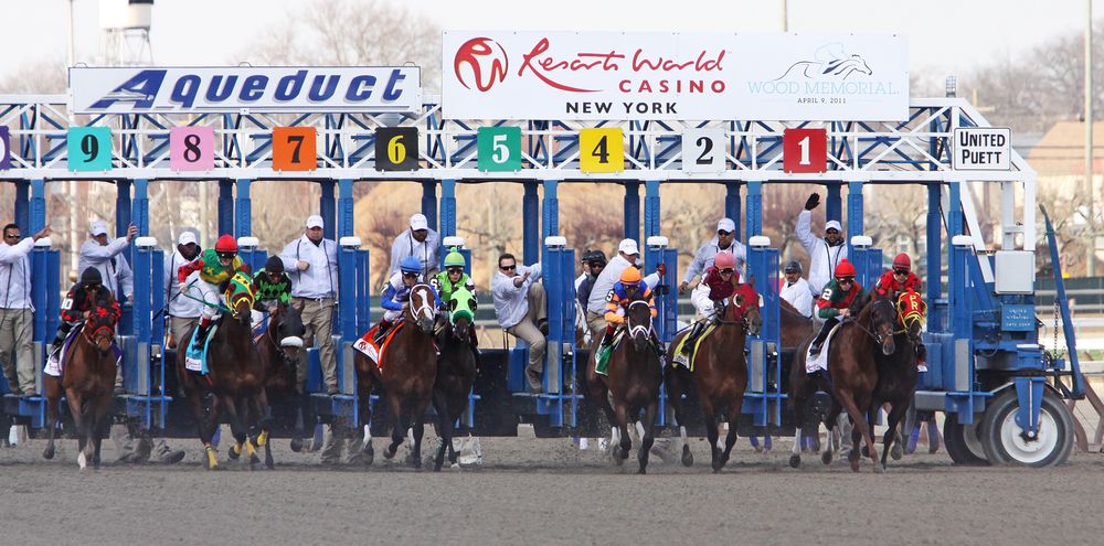 Horse-racing at Aqueduct Racetrack