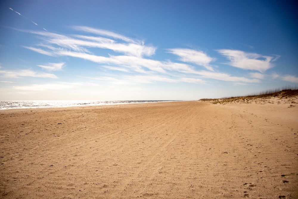 Daytime view of Fort Fisher State Recreation Area