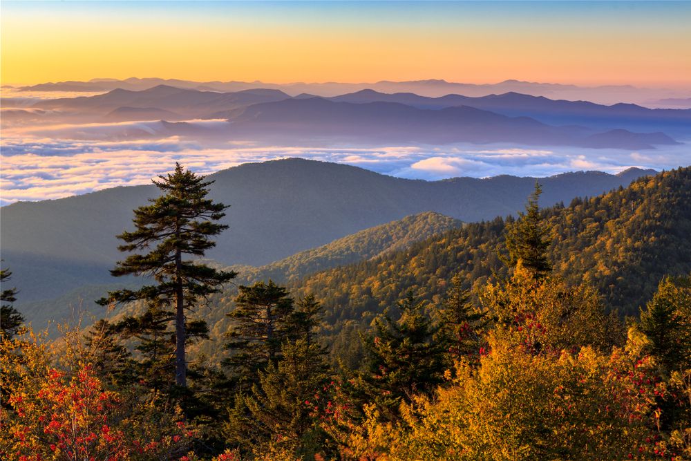 Scenic view of Great Smoky Mountains National Park