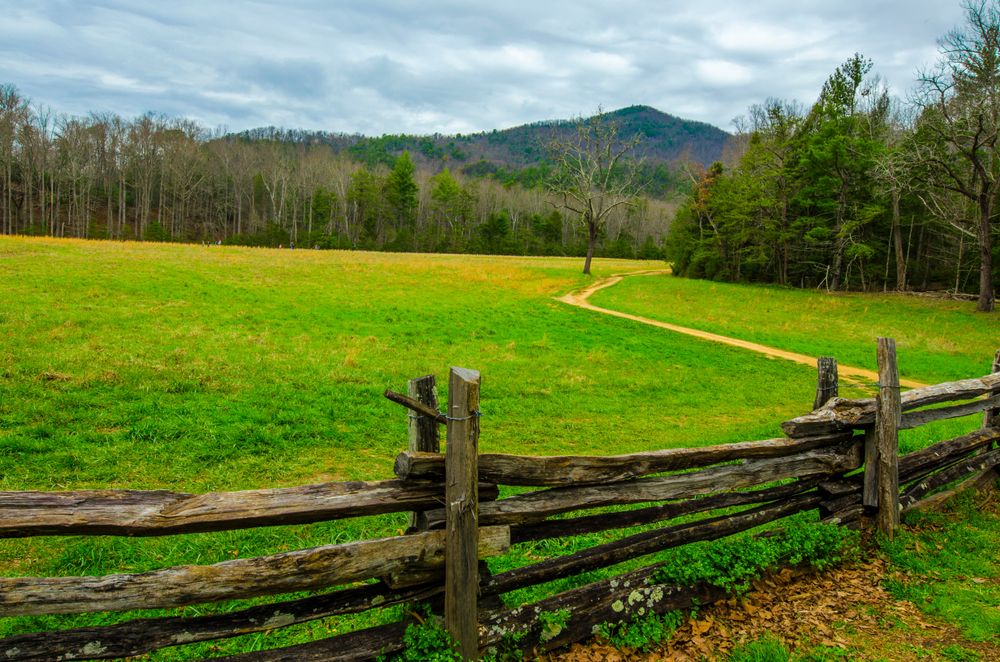 Landscape of Great Smoky Mountains National Park