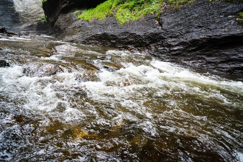 Downstream of Looking Glass Falls