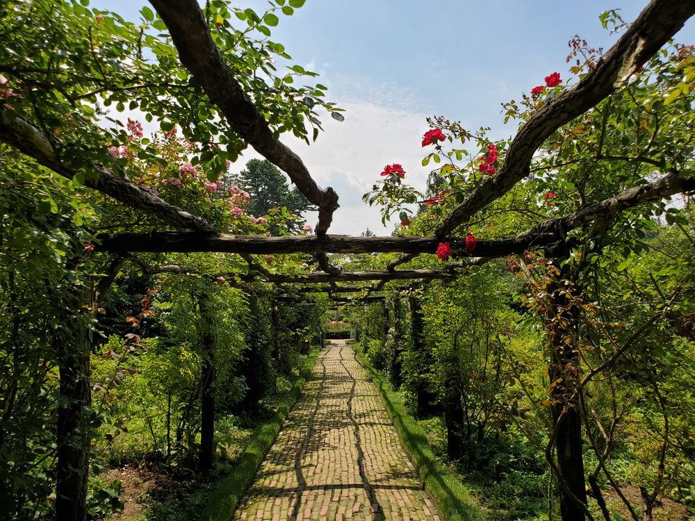 A trail at Old Westbury Gardens
