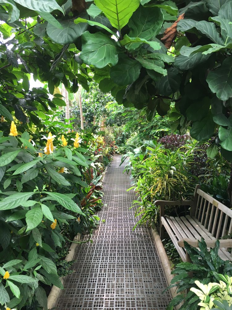 A trail at Planting Fields