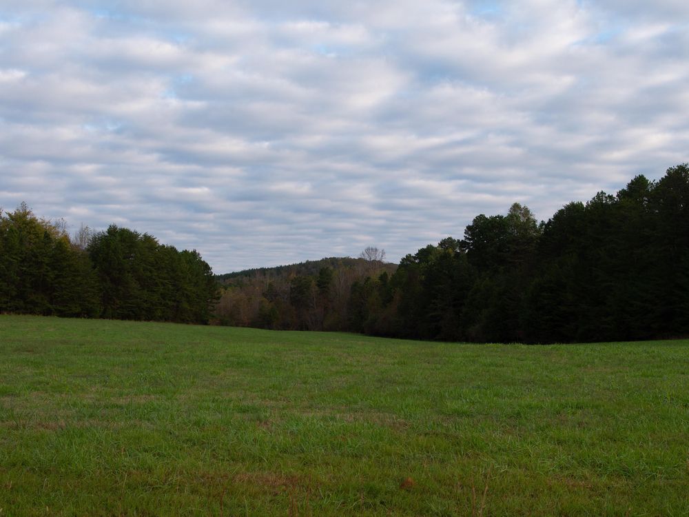 The grounds of Uwharrie National Forest