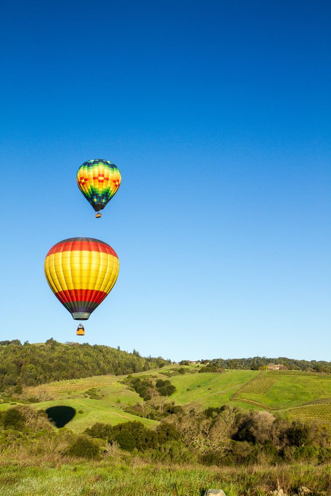 Daytime view of ascending Napa Valley Balloons