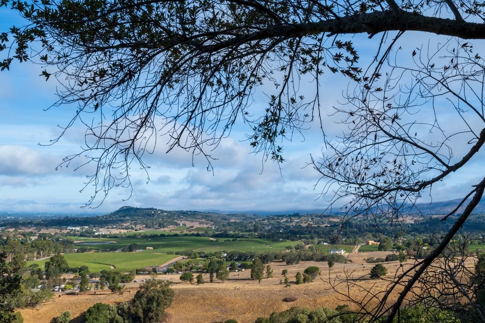 View of napa valley from Skyline Wilderness Park