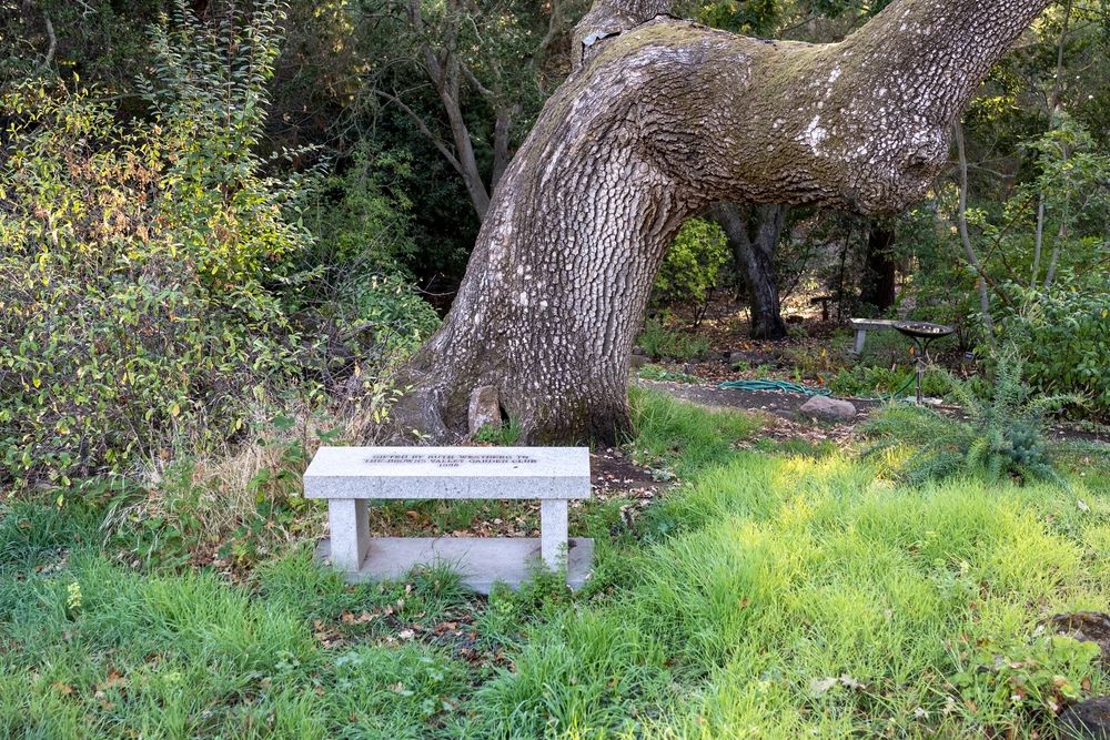 Stone bench at Skyline Wilderness Park