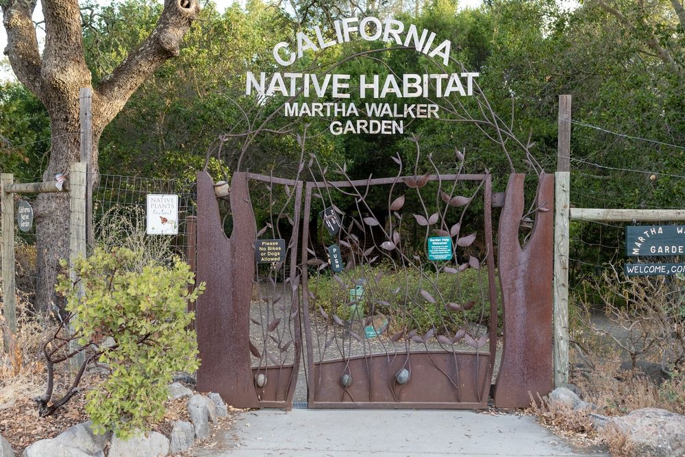 Martha Walker Native Habitat Garden at Skyline Wilderness Park