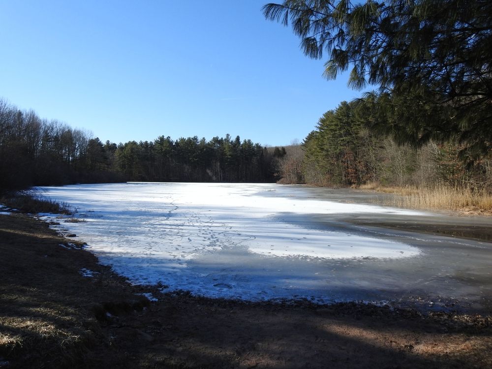 Lake Wintergreen at West Rock Ridge State Park