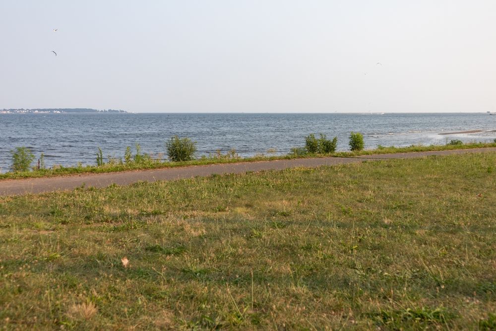 The grounds of Long Wharf Park