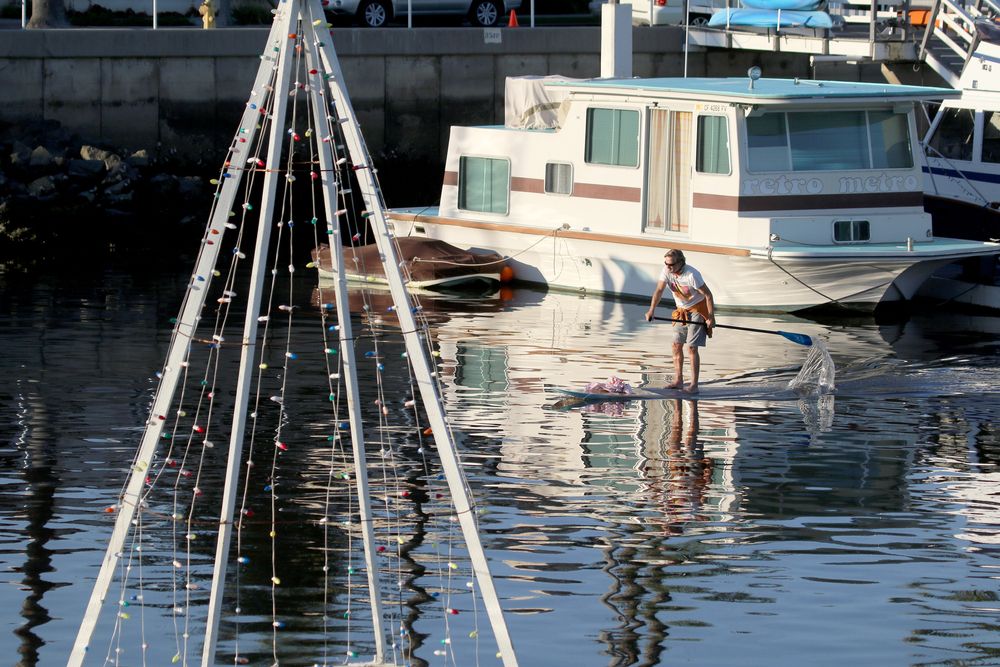 A person paddle-boarding on Naples Canal