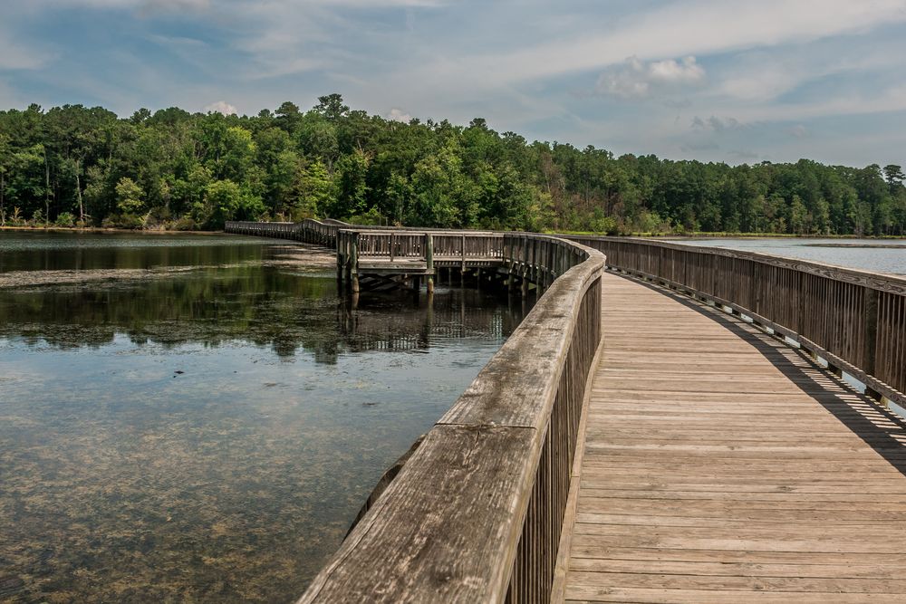 Boardwalk at Newport News Park