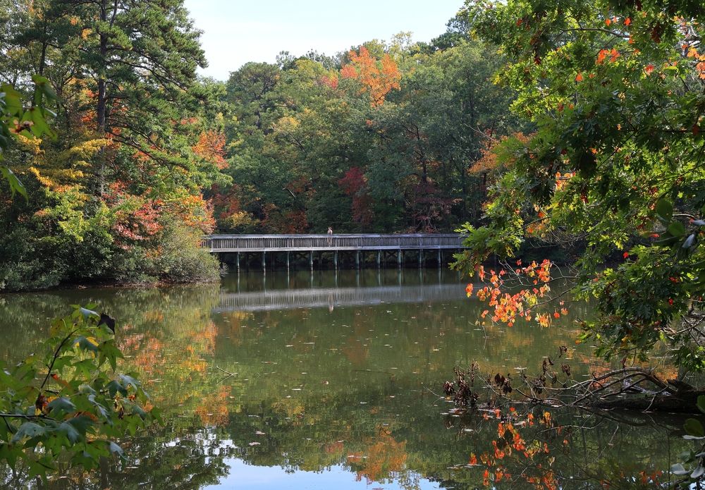River along Noland Trail