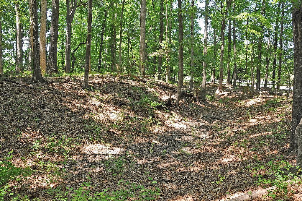 Nature trail at Skiffes Creek Redoubt