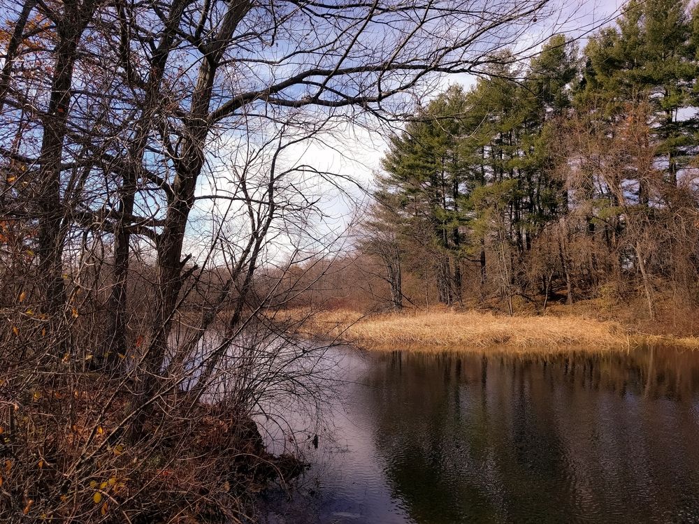 The waters of Fields Grove