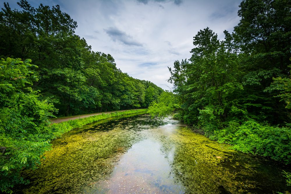 Nashua river along Mine Falls Park