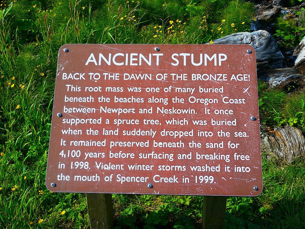 Ancient stump sign at Beverly Beach State Park