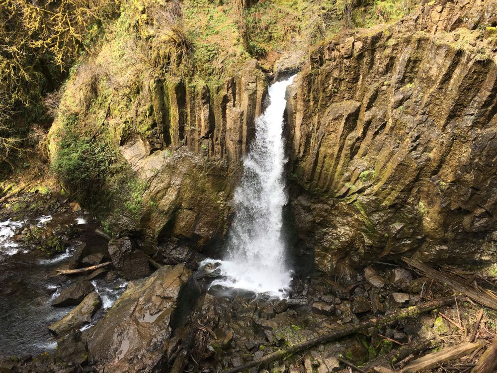 A gorgeous waterfall at Siuslaw National Forest