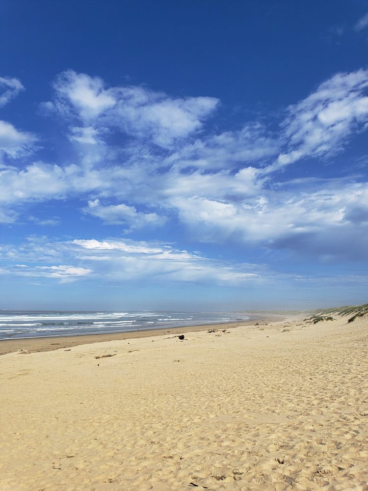 Sunny day at South Beach State Park