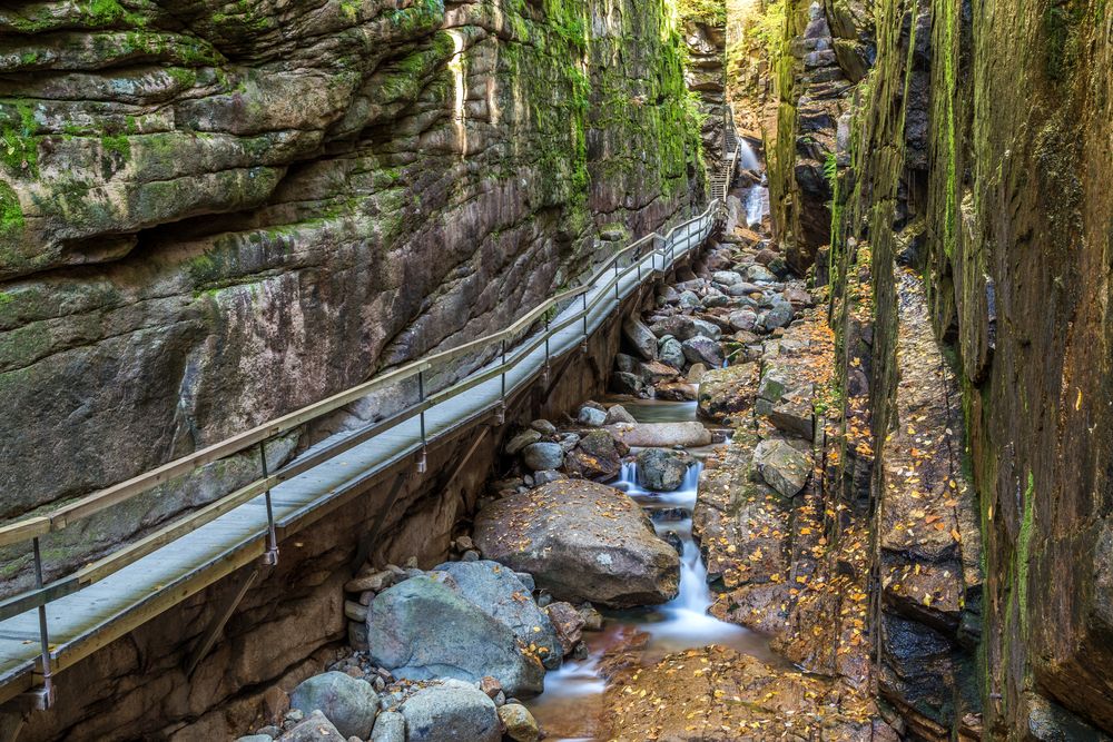 Boardwalk at The Flume Gorge