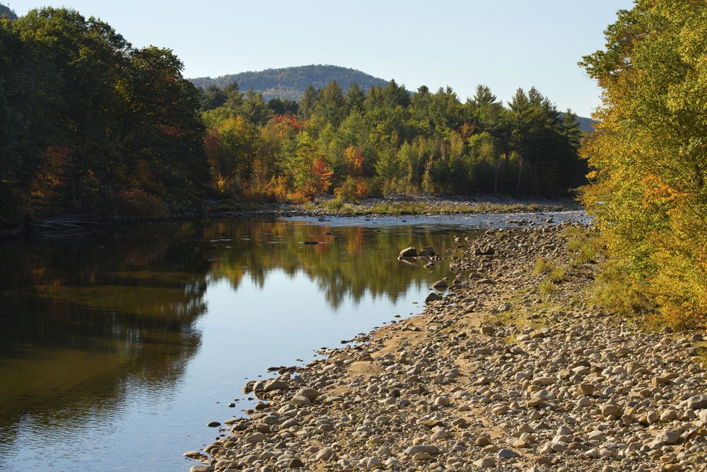 Body of water surrounded with autumn trees at White Mountains National Forest